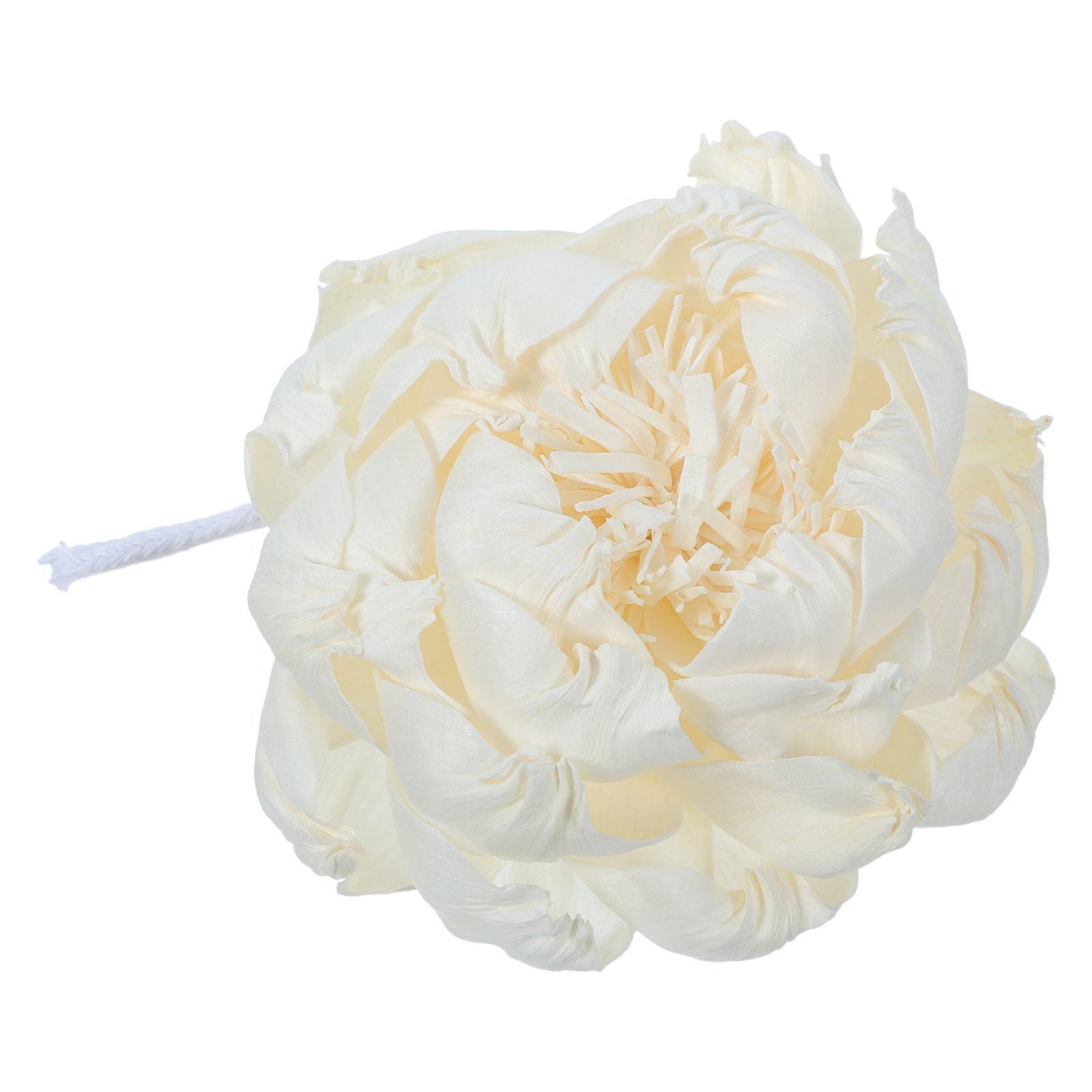 Pfingstrosenkopf-Duftdiffusor  – Home Fragrance Usa Bewertung und Preis