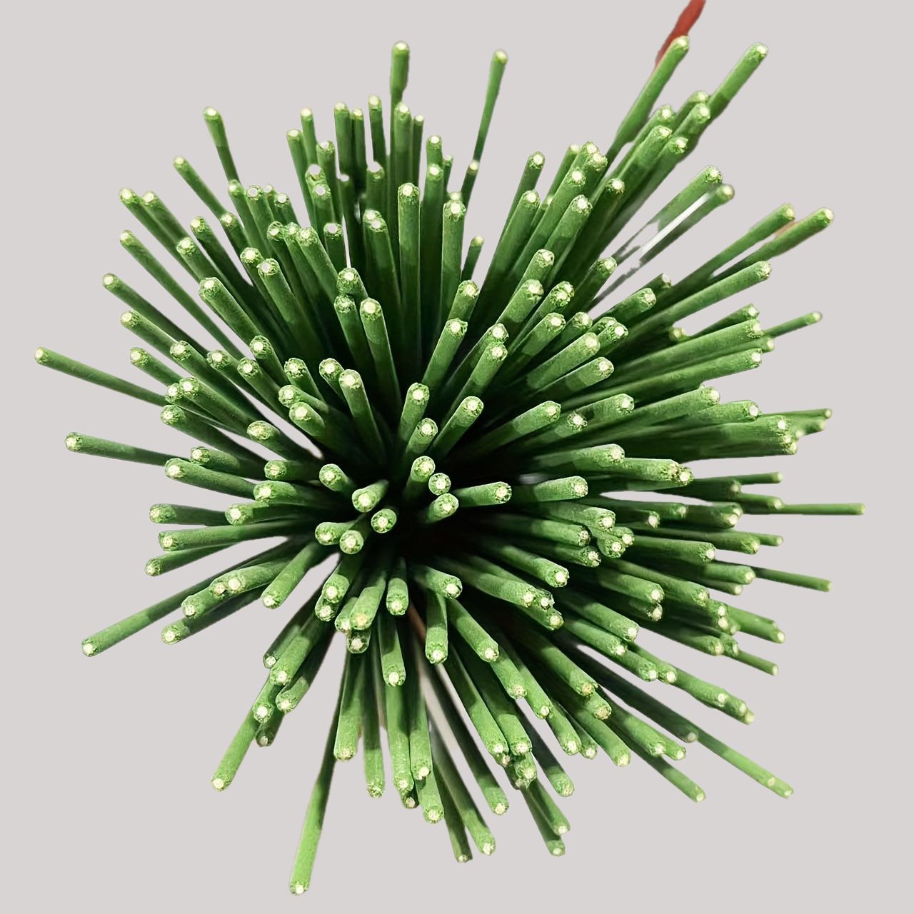 Reed Diffuser Sticks Zitroneng – Home Fragrance Oud Bewertung und Preis