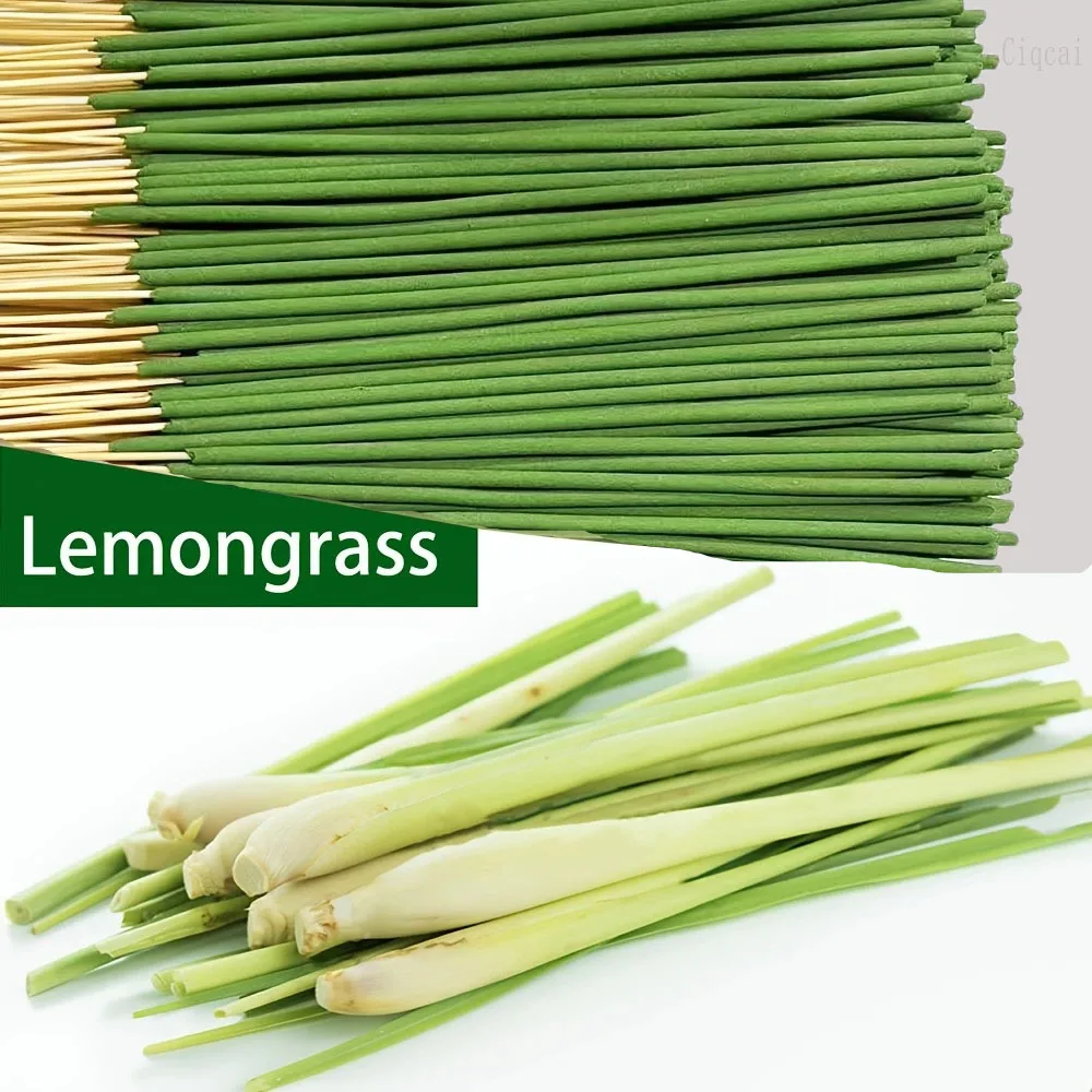 Reed Diffuser Sticks Zitroneng – Home Fragrance Oud Bewertung und Preis
